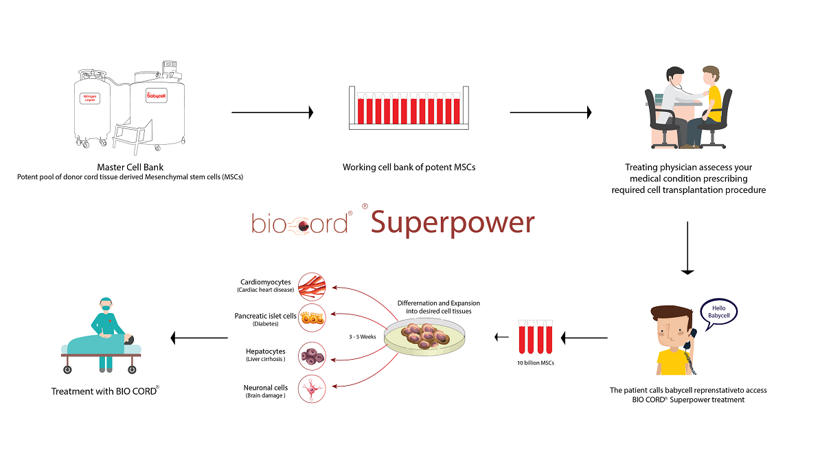 Cord Tissue Banking