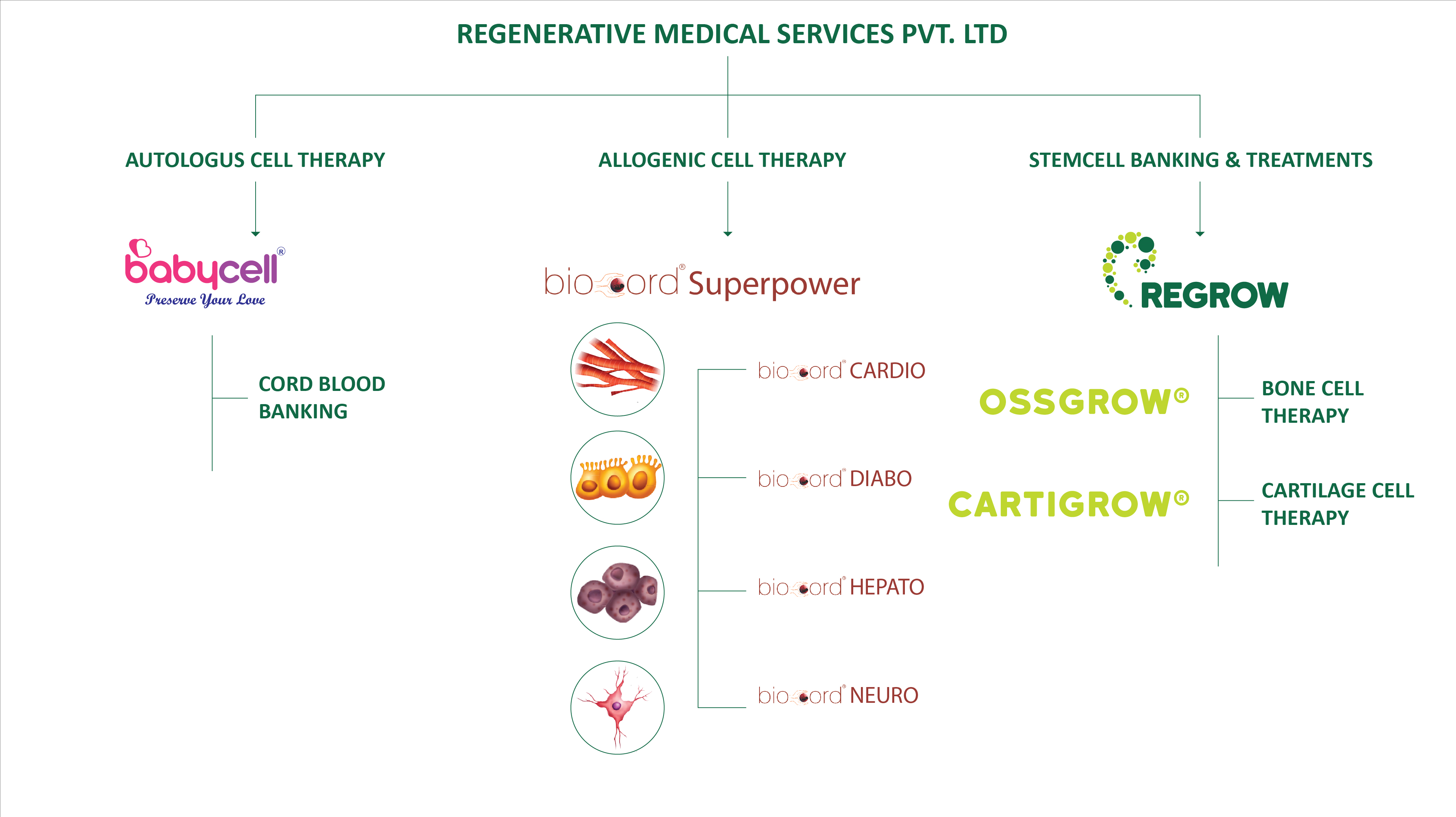 Cord Blood  and Cord Tissue Banking